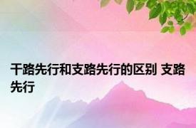 干路先行和支路先行的区别 支路先行 