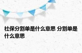 社保分割单是什么意思 分割单是什么意思