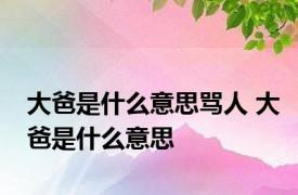 大爸是什么意思骂人 大爸是什么意思