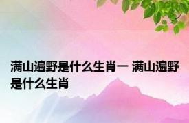 满山遍野是什么生肖一 满山遍野是什么生肖 