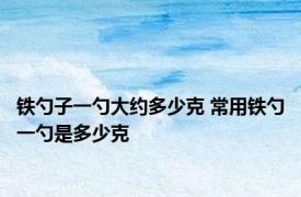 铁勺子一勺大约多少克 常用铁勺一勺是多少克