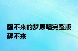 醒不来的梦原唱完整版 醒不来 