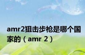 amr2狙击步枪是哪个国家的（amr 2）