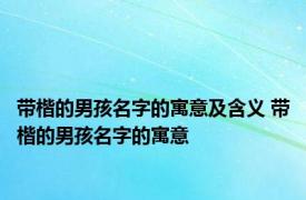 带楷的男孩名字的寓意及含义 带楷的男孩名字的寓意