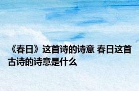 《春日》这首诗的诗意 春日这首古诗的诗意是什么