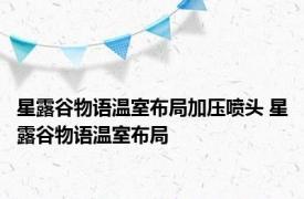 星露谷物语温室布局加压喷头 星露谷物语温室布局 