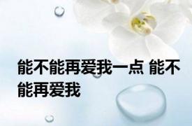 能不能再爱我一点 能不能再爱我 