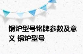 锅炉型号铭牌参数及意义 锅炉型号 