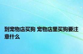 到宠物店买狗 宠物店里买狗要注意什么