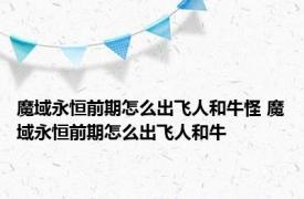 魔域永恒前期怎么出飞人和牛怪 魔域永恒前期怎么出飞人和牛