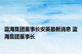 蓝海集团董事长安英最新消息 蓝海集团董事长 