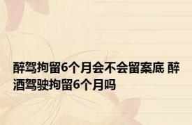 醉驾拘留6个月会不会留案底 醉酒驾驶拘留6个月吗 