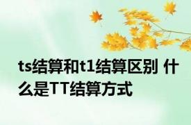 ts结算和t1结算区别 什么是TT结算方式