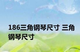 186三角钢琴尺寸 三角钢琴尺寸 