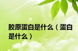 胶原蛋白是什么（蛋白是什么）