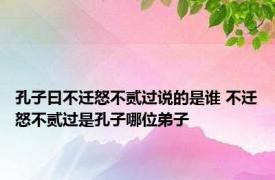 孔子曰不迁怒不贰过说的是谁 不迁怒不贰过是孔子哪位弟子 