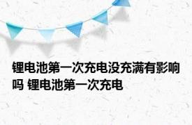 锂电池第一次充电没充满有影响吗 锂电池第一次充电 