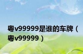 粤v99999是谁的车牌（粤v99999）