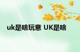 uk是啥玩意 UK是啥