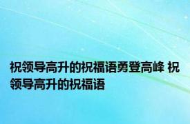 祝领导高升的祝福语勇登高峰 祝领导高升的祝福语 