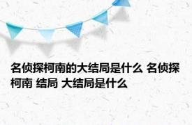 名侦探柯南的大结局是什么 名侦探柯南 结局 大结局是什么