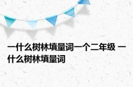 一什么树林填量词一个二年级 一什么树林填量词 