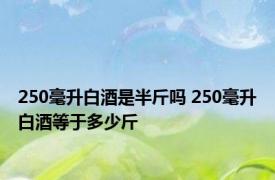 250毫升白酒是半斤吗 250毫升白酒等于多少斤