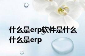 什么是erp软件是什么 什么是erp