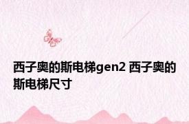 西子奥的斯电梯gen2 西子奥的斯电梯尺寸 