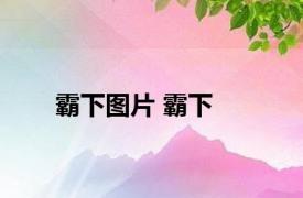 霸下图片 霸下 