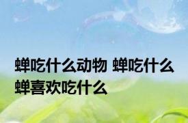 蝉吃什么动物 蝉吃什么 蝉喜欢吃什么