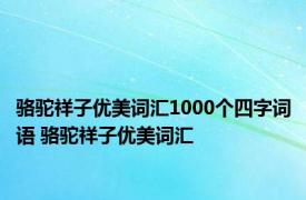 骆驼祥子优美词汇1000个四字词语 骆驼祥子优美词汇 