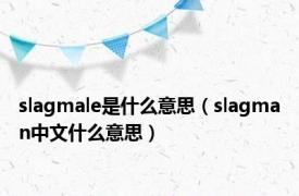 slagmale是什么意思（slagman中文什么意思）