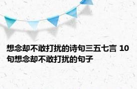 想念却不敢打扰的诗句三五七言 10句想念却不敢打扰的句子