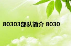 80303部队简介 8030 