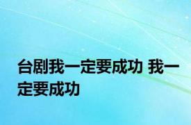 台剧我一定要成功 我一定要成功 