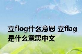 立flog什么意思 立flag是什么意思中文