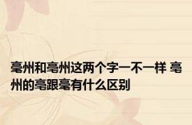 毫州和亳州这两个字一不一样 亳州的亳跟毫有什么区别