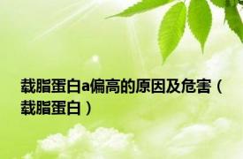 载脂蛋白a偏高的原因及危害（载脂蛋白）