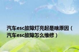 汽车esc故障灯亮起是啥原因（汽车esc故障怎么维修）