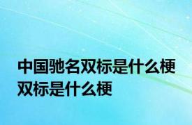 中国驰名双标是什么梗 双标是什么梗