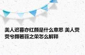 美人迟暮亦红颜是什么意思 美人荧荧兮颜若苕之荣怎么解释