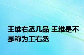 王维右丞几品 王维是不是称为王右丞