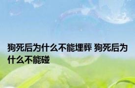 狗死后为什么不能埋葬 狗死后为什么不能碰 