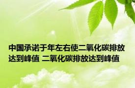 中国承诺于年左右使二氧化碳排放达到峰值 二氧化碳排放达到峰值 