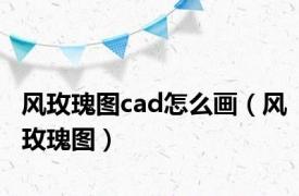 风玫瑰图cad怎么画（风玫瑰图）