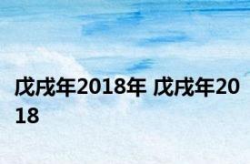 戊戌年2018年 戊戌年2018 