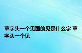 草字头一个见面的见是什么字 草字头一个见 