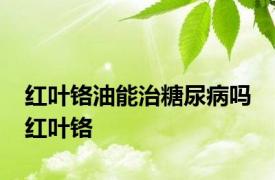 红叶铬油能治糖尿病吗 红叶铬 