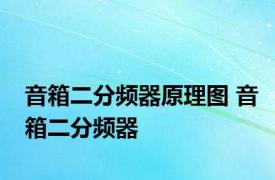 音箱二分频器原理图 音箱二分频器 